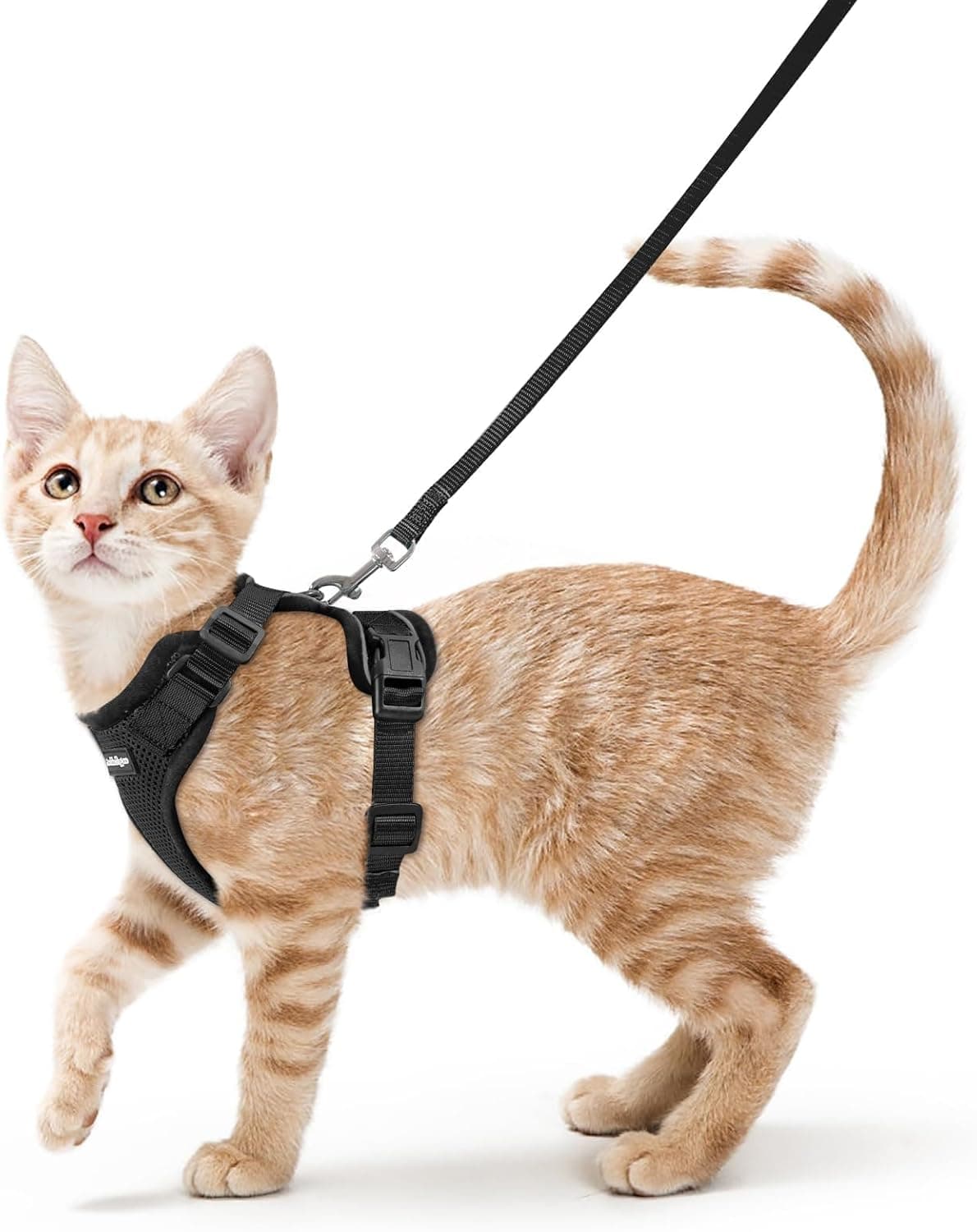 rabbitgoo Escape Proof Cat Harness and Leash Set, Xs, Black | 4 Adjustable Points, Quick-snap Buckles, All-weather Mesh, Secure Clip, Reflective Strips, for Small & Average Cats Outings